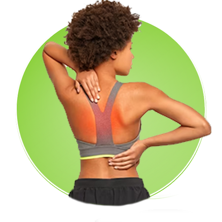 Ossos e Articulações