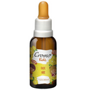 Floral Fase ABC 30ml Cromo Florais