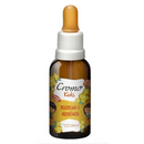 Floral Disciplina e Obediência 30ml Cromo Florais